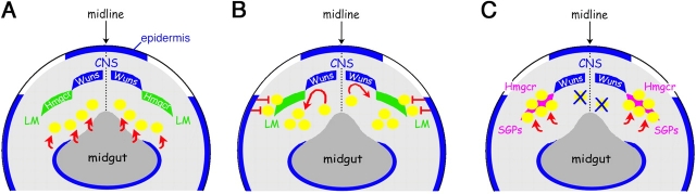 Figure 6.