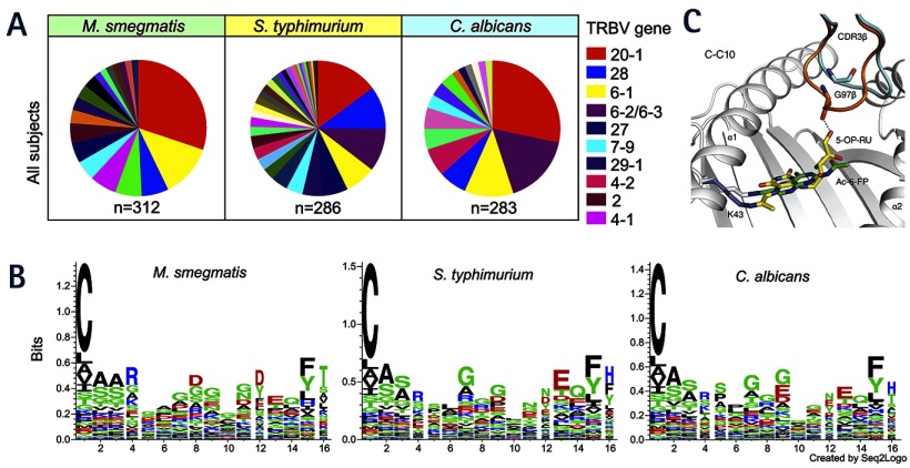 graphic file with name jem.2118insight3fig2.jpg