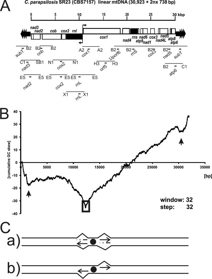 FIGURE 1.