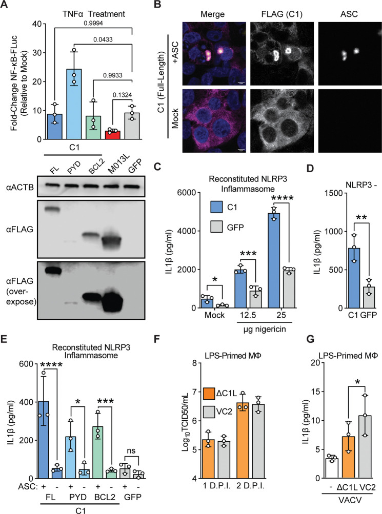 Figure 4: