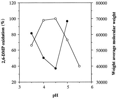 FIG. 5