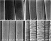 FIG. 6