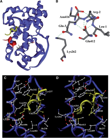 Figure 7.