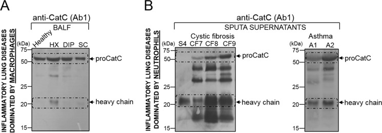 FIGURE 10.