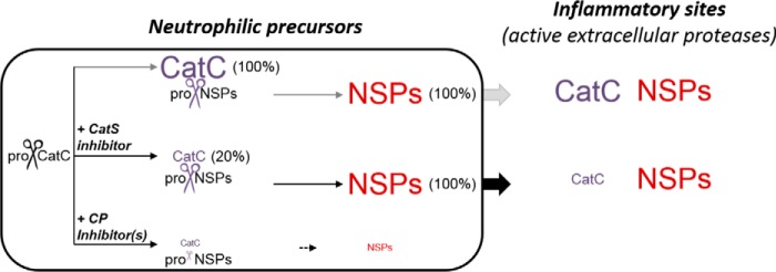 FIGURE 12.