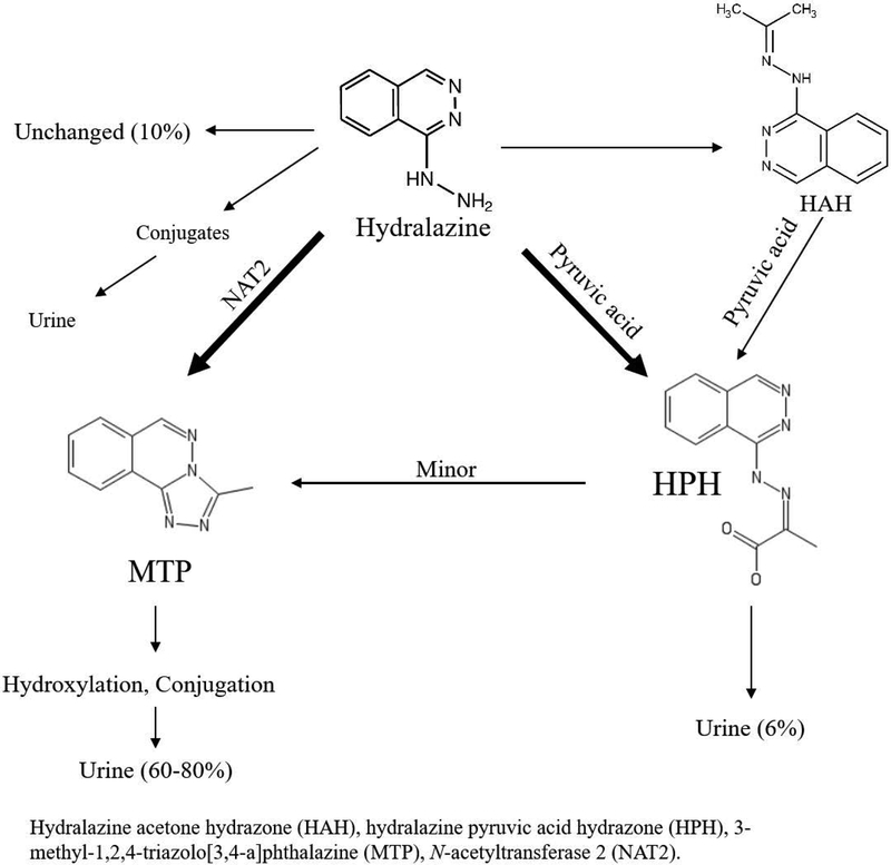 Figure 1 –