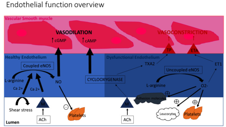 Fig. (2)