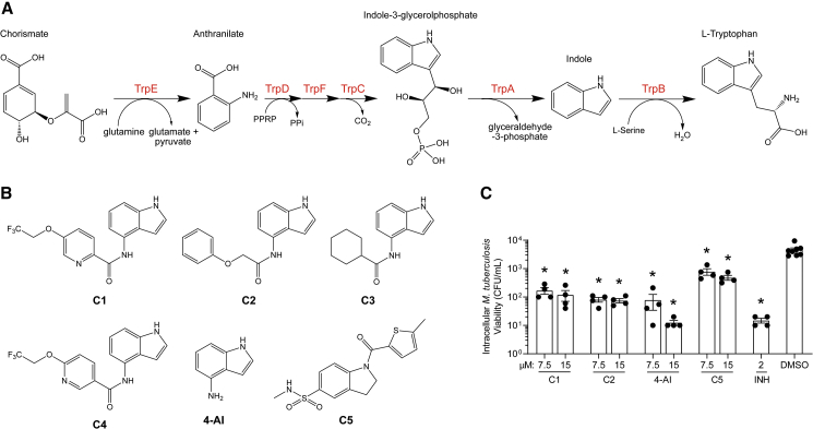 Figure 1