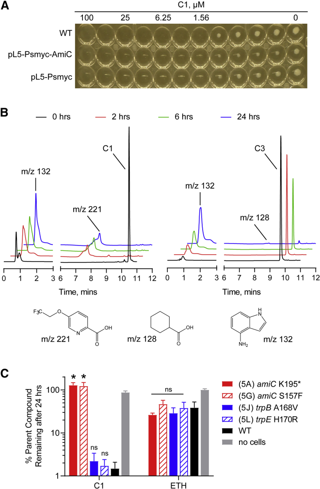 Figure 2