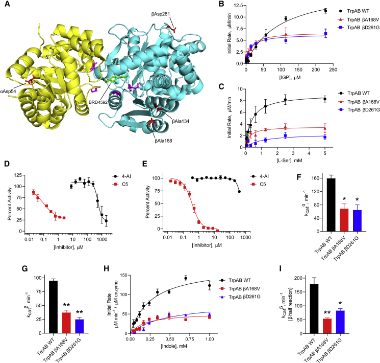 Figure 5