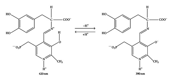 Figure 8