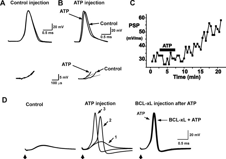 Figure 7.