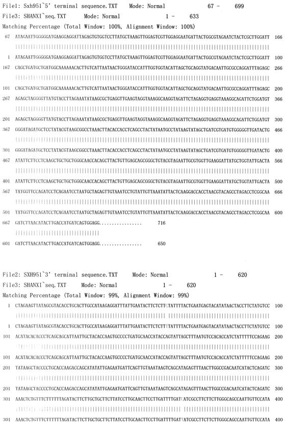 FIG. 5.