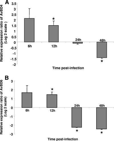 FIG. 2.