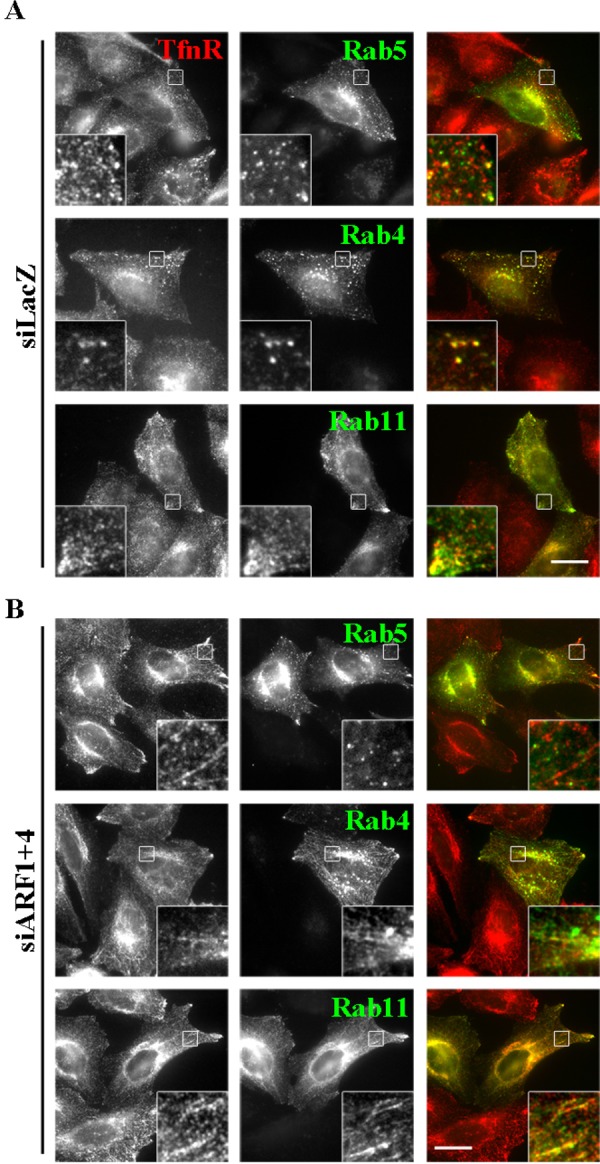 FIGURE 4: