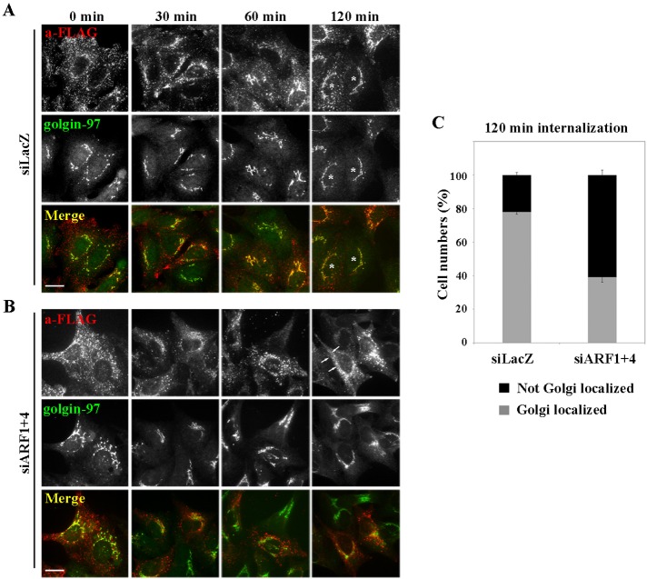 FIGURE 6: