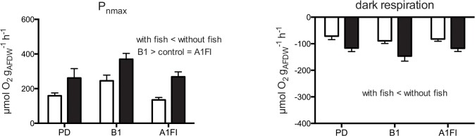 Fig 5