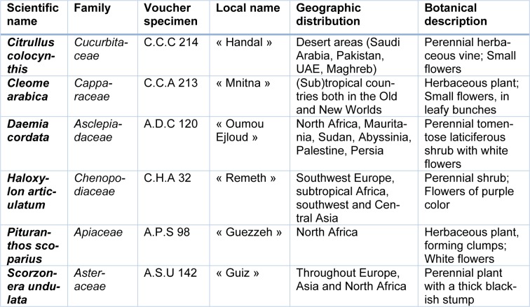 Table 1