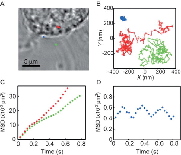 Figure 17