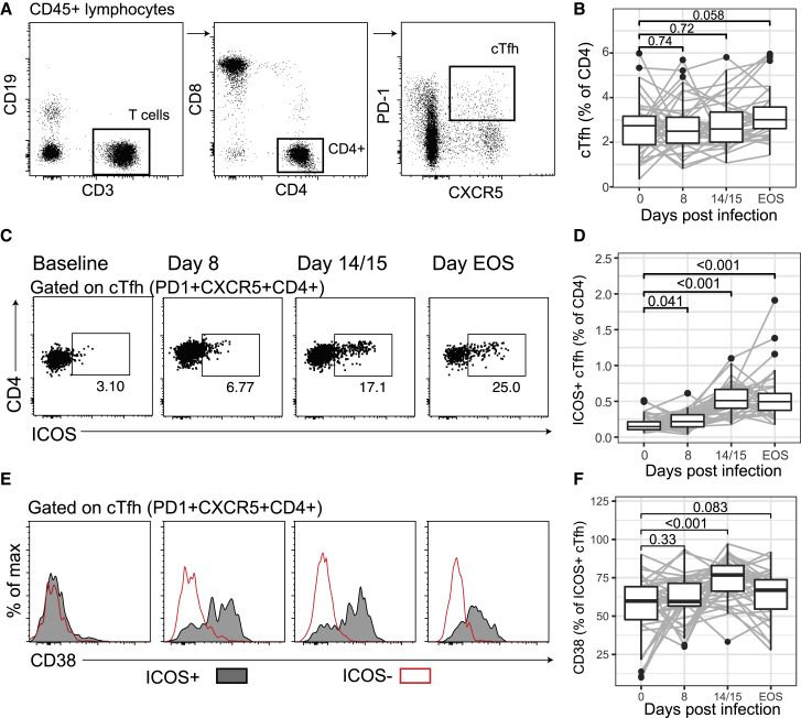 Figure 2