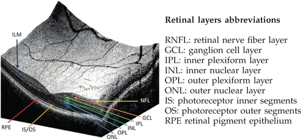 Fig. 4.