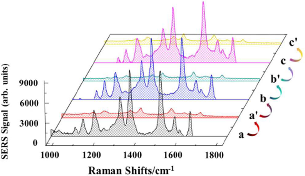 FIGURE 4