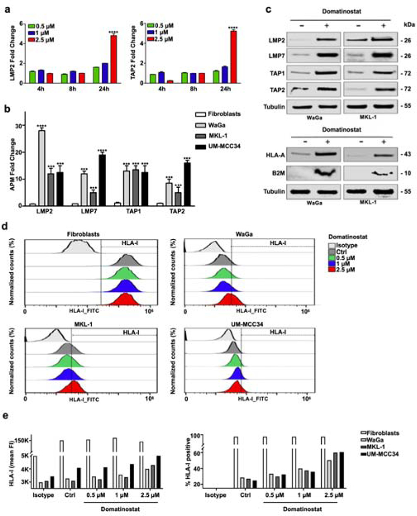 Figure 4: