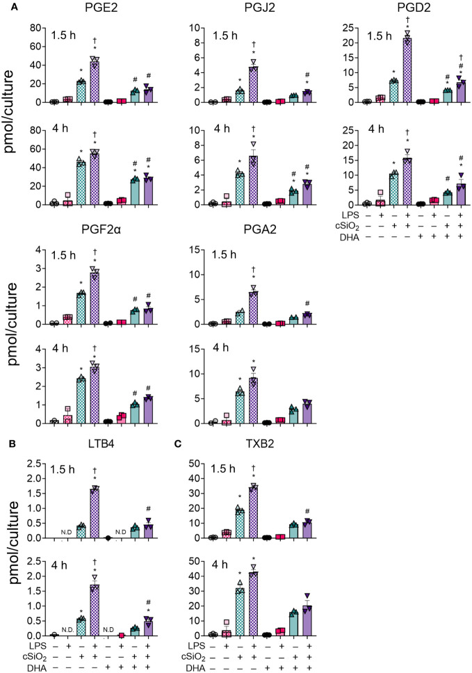 Figure 4