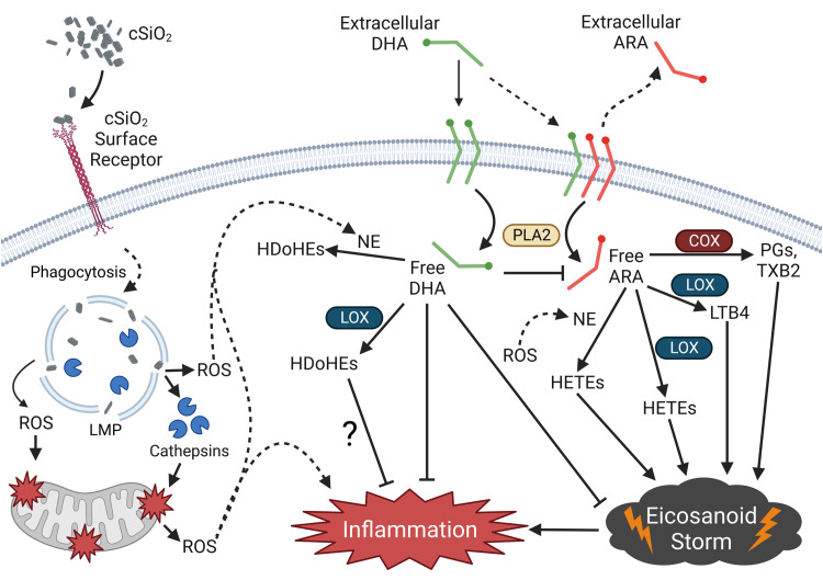 Figure 12