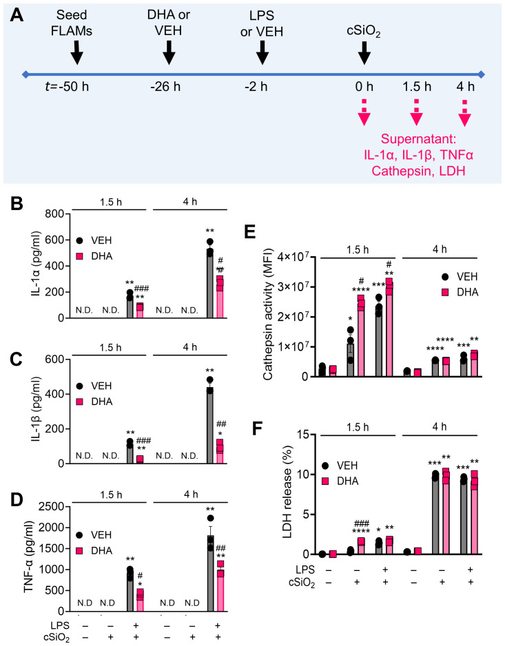 Figure 10