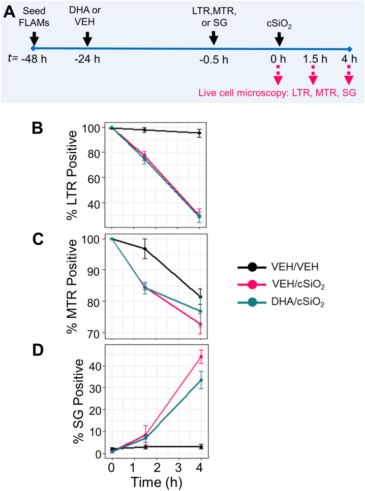 Figure 11