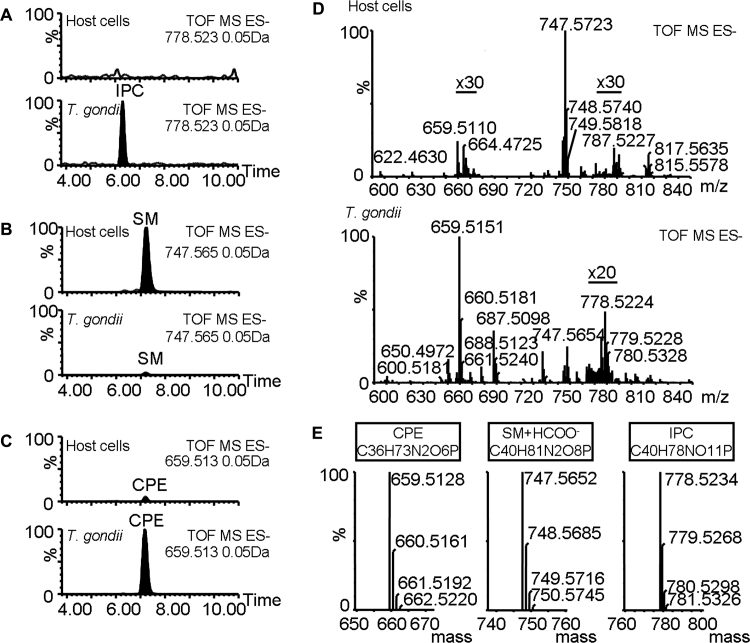 Fig. 4