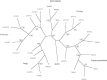 Supplementary Figure 1