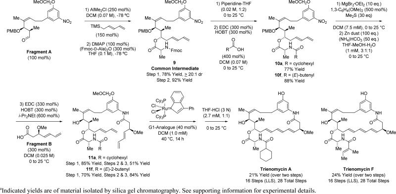 Scheme 4