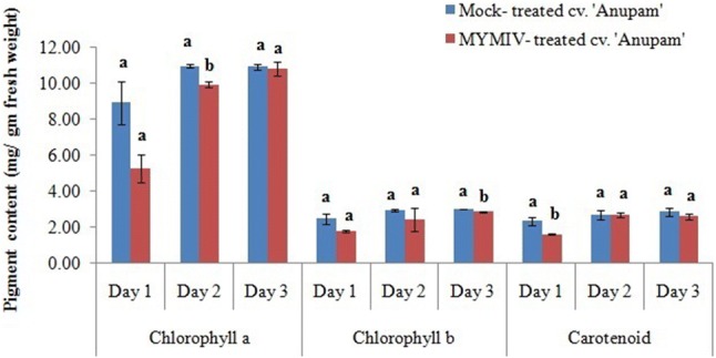 Fig. 6