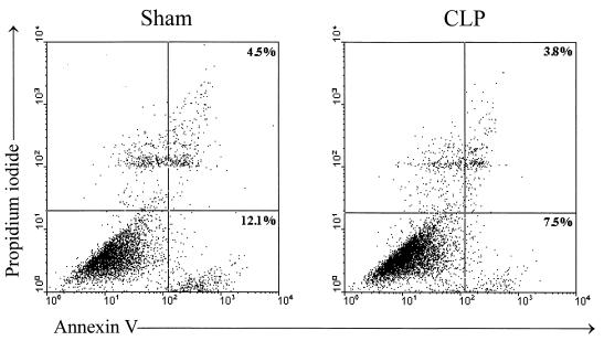 FIG. 7