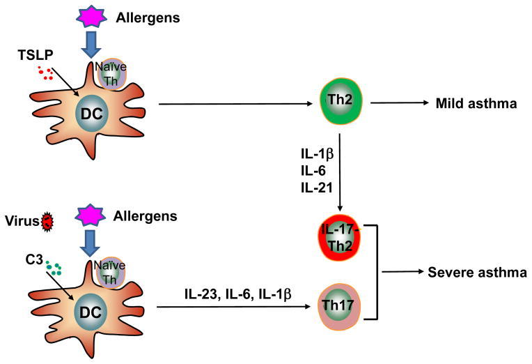 Fig. 1