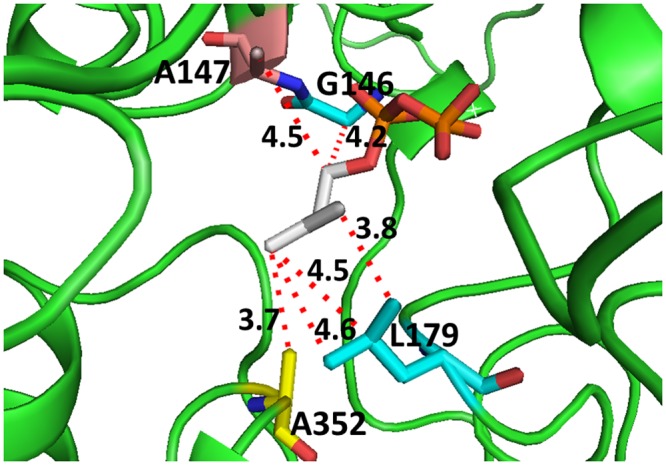 Fig 1