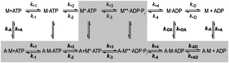 Scheme 1