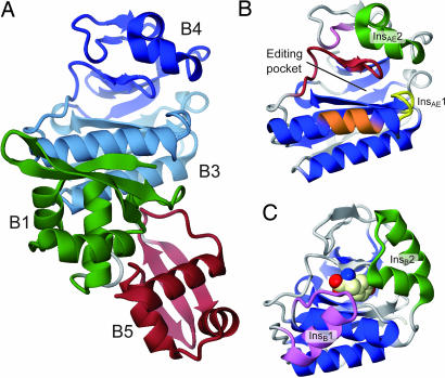 Fig. 1.