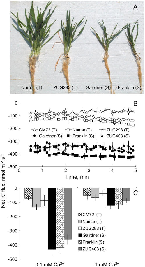 Figure 1.