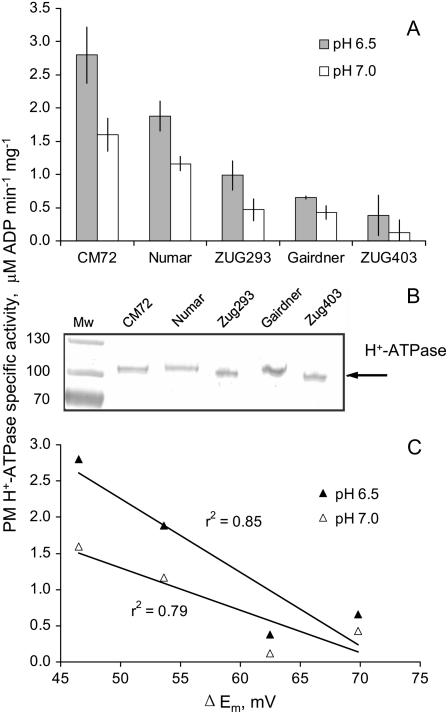 Figure 4.