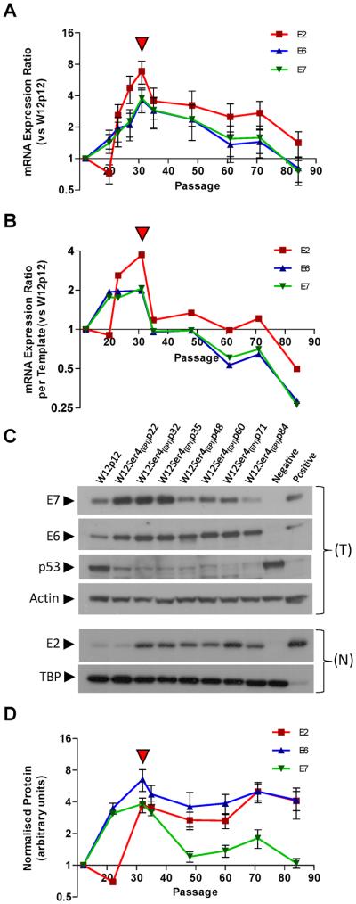 Figure-4