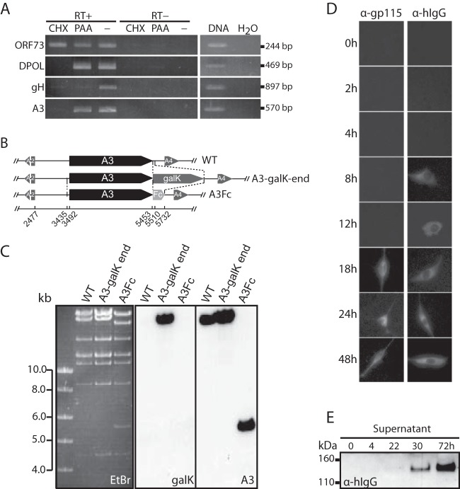 FIG 4