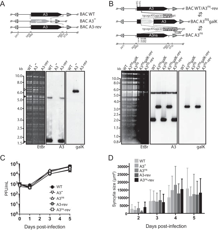 FIG 10