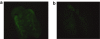 <b>Figure 4</b>