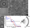 Extended Data Figure 3