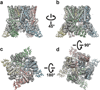 Extended Data Figure 6