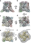 Extended Data Figure 2