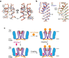 Extended Data Figure 10